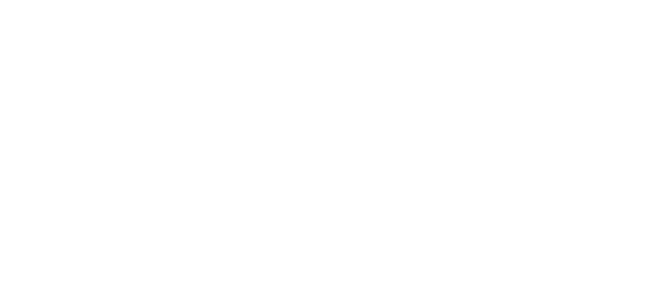 Studio Ziveri